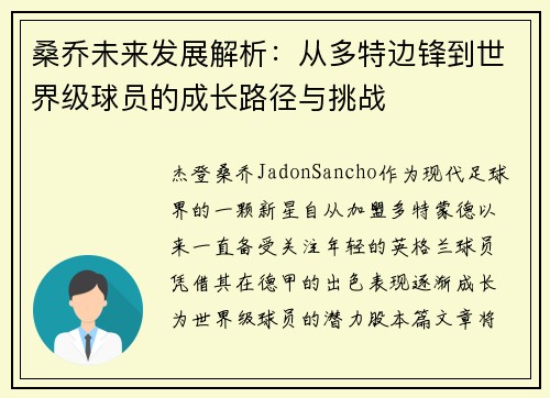 桑乔未来发展解析：从多特边锋到世界级球员的成长路径与挑战